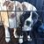 Kimberly Curnutt's profile image