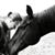 Pat Erickson's profile image