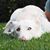Anastasia Beaverhousen's profile image