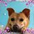 Lynn Descoteau's profile image