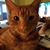 Lori Dockery's profile image