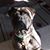 Mardee Albright's profile image