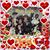 Connie Hersh's profile image