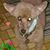 Lena M Nocente's profile image