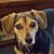 Lindy Herrmann's profile image