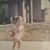 Maribel Adartse's profile image