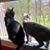 Kelby Shannon-Leary's profile image