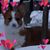 April Leber's profile image
