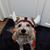 Chesley Lohstreter Garrett's profile image