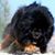 Clifford Simon's profile image
