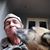 Mike Lindgren's profile image