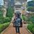 Tawfik H. Shahien's profile image