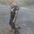 Nicolas Loubier Jacques's profile image