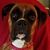 Christopher Worthey's profile image