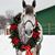 Denise Melko Miller's profile image