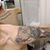 Dustin Armstrong's profile image