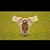 Allyson Alperin-Rosen's profile image