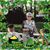 Barbara Swanson's profile image