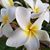 Sherri Hughes Fink's profile image