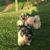 Kayla Deel's profile image