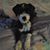 Sharon Gladfelter's profile image