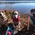 Margo Wildi Blewett's profile image