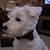 Kimberly Rybak's profile image