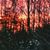 Lori Stahl Turcotte's profile image