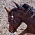 Arlyn LaBair's profile image
