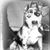 Samuel Plotts's profile image
