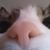Eileen Spevak's profile image