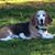 Joleane Haley's profile image