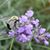 Debra Worth's profile image