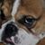Theo Rohrs's profile image
