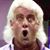 Levente Kallos's profile image