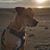 Kurt Owen Lacher's profile image
