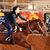 Sandy Shulhan's profile image