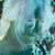 Haley Green's profile image