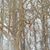 Grace Adams Frericks's profile image