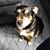 Rachael Lovdahl's profile image