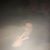 Jessica Wells's profile image