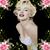 Kristy Love's profile image