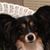 Mary DeSalvo's profile image