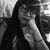 Vanne Ordoñez's profile image