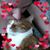 Leah Stufft's profile image