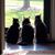 Maureen Nallon Querci's profile image