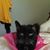 Candi Konery Roach's profile image