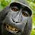 Brian Duvall's profile image