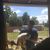 Brandon Waggoner's profile image