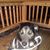 Robert Johnson's profile image